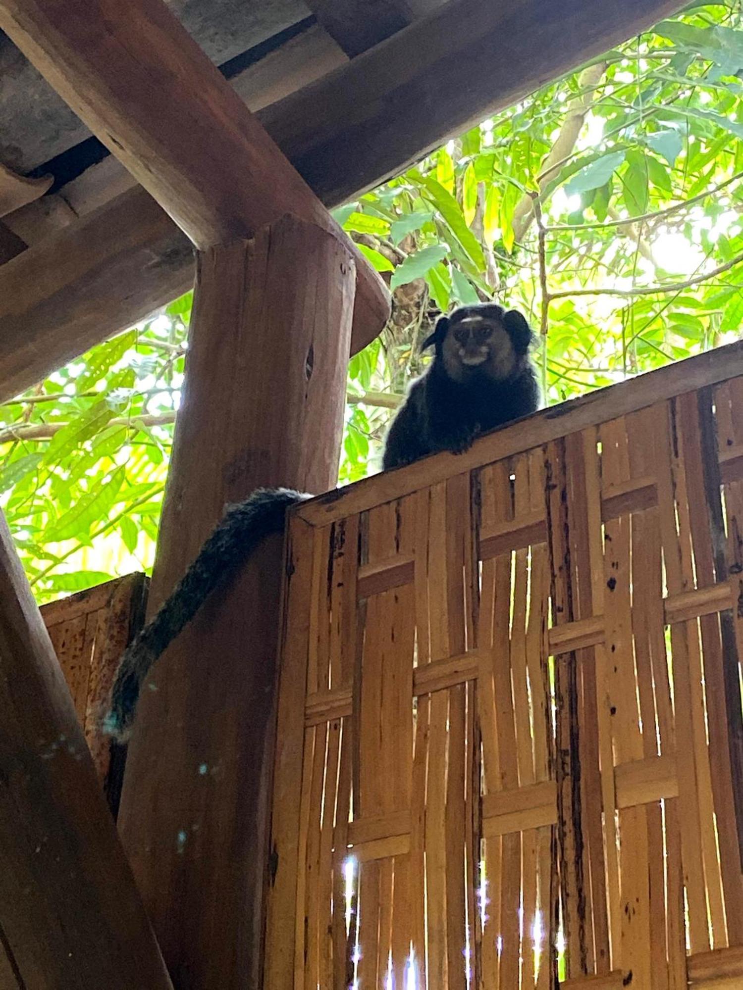 Pousada Vilarejo Itacaré Esterno foto